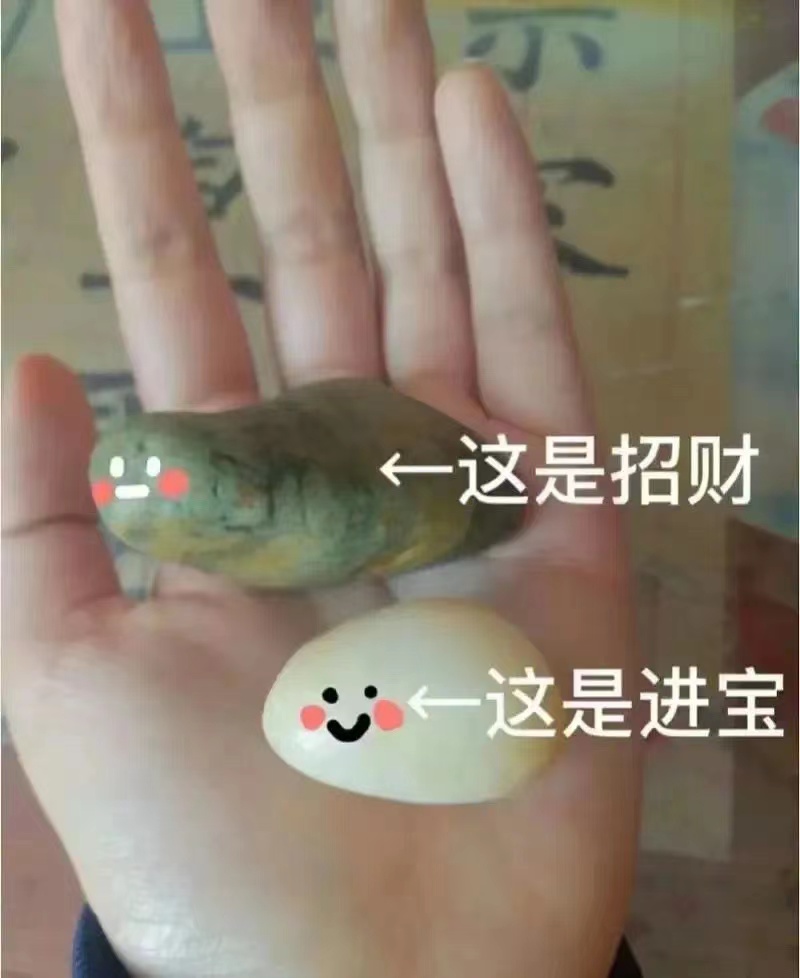 《执行异议之诉-案例分析》法律沙龙分享会